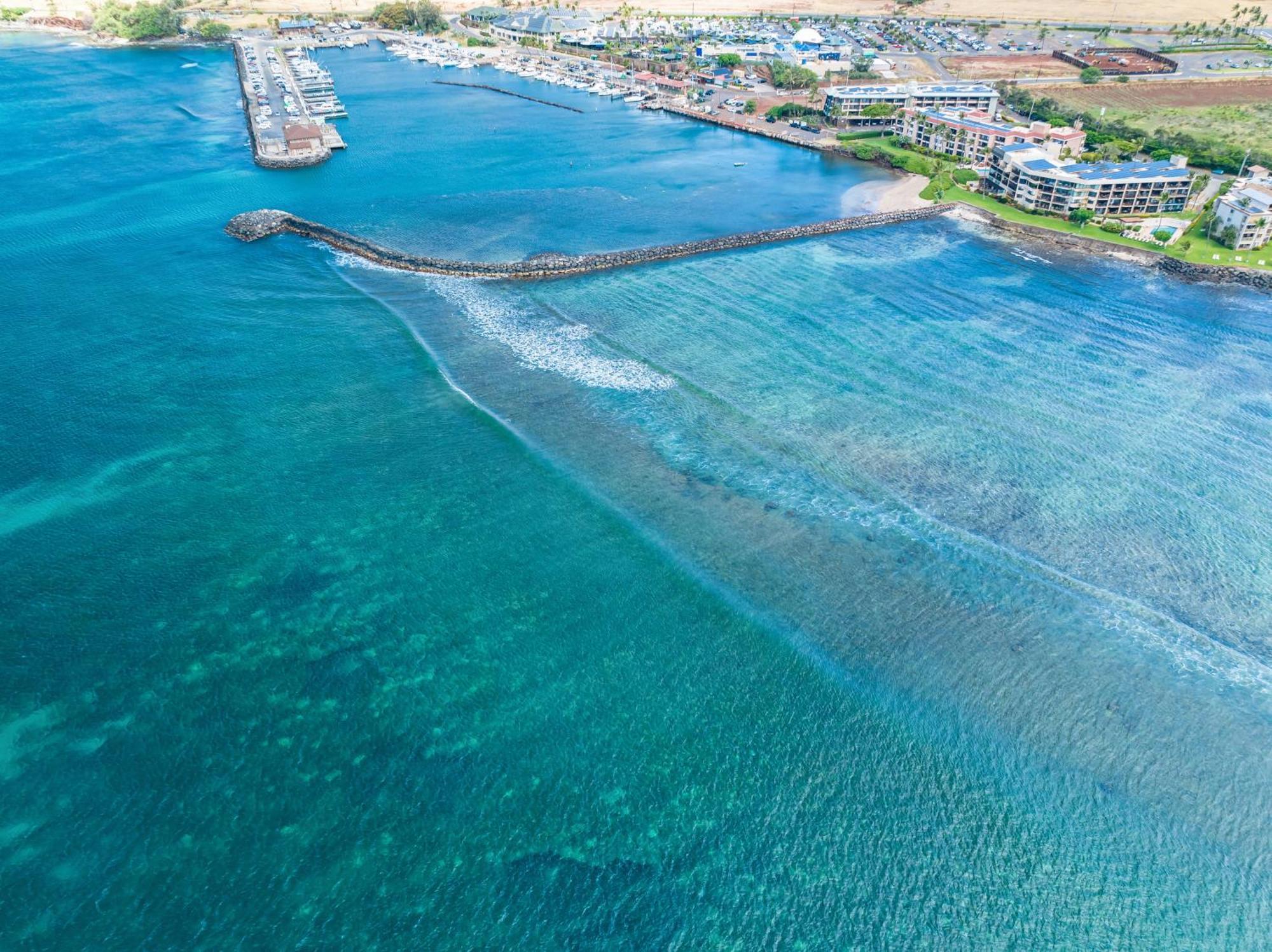 106 Milowai Wailuku Exterior foto
